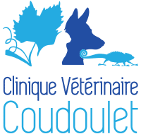 Clinique du Coudoulet à Orange