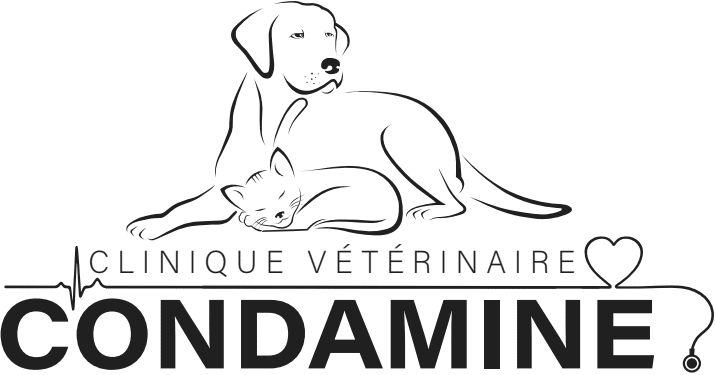 Clinique de la Condamine à Crest