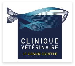 Clinique Le Grand Souffle à St Jean de Muzols
