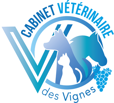 Clinique des vignes à Ste Cécile