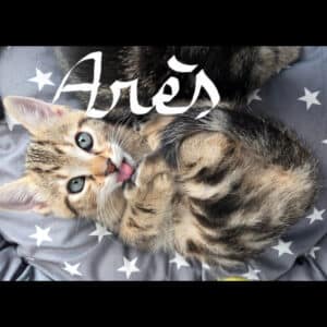ARES**